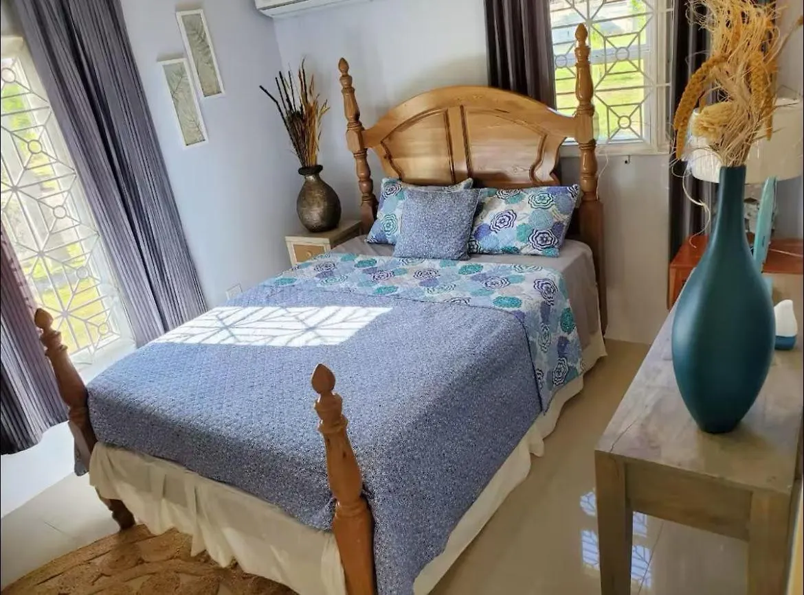 Villa Island Steer Town